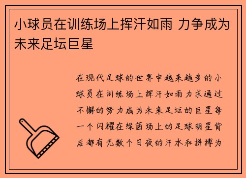 小球员在训练场上挥汗如雨 力争成为未来足坛巨星